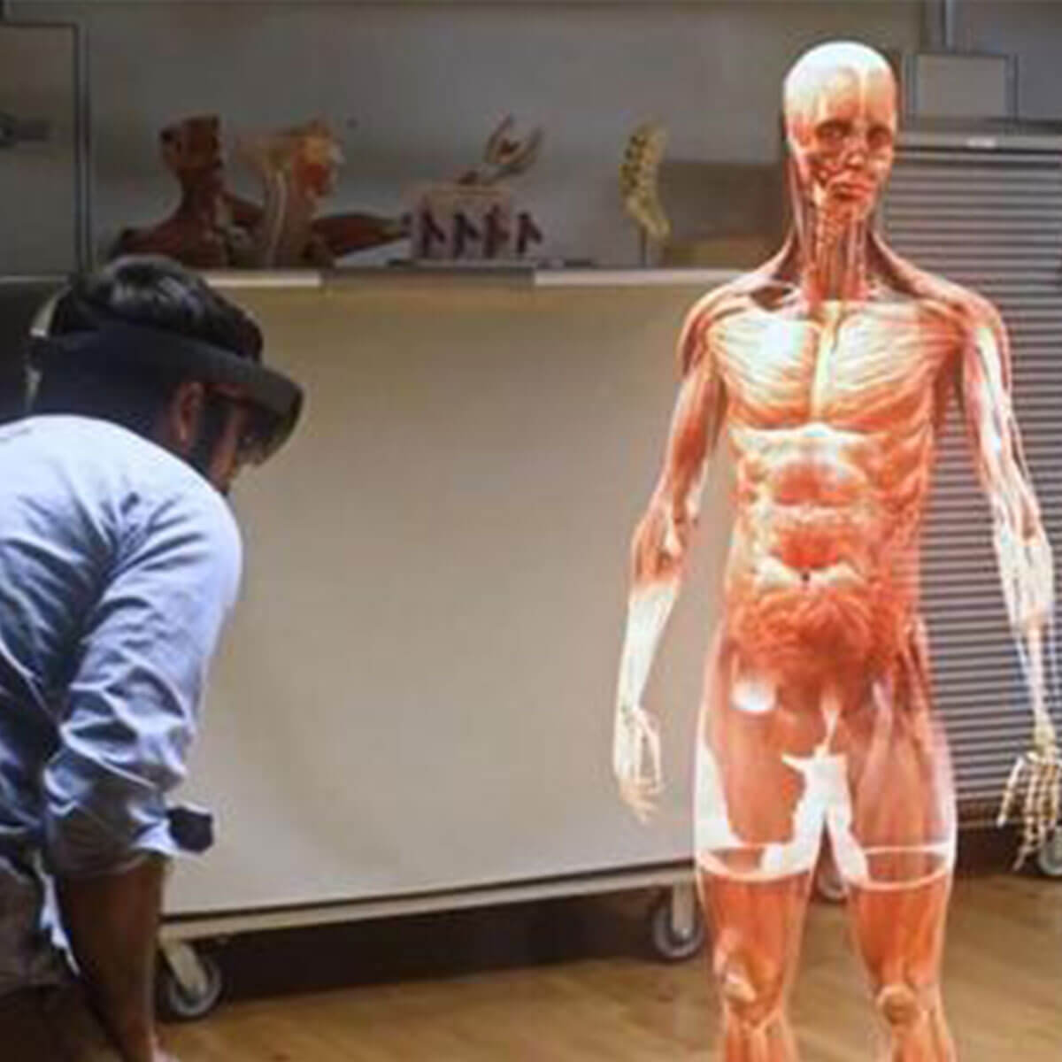 DMSF Virtual Reality Anatomy