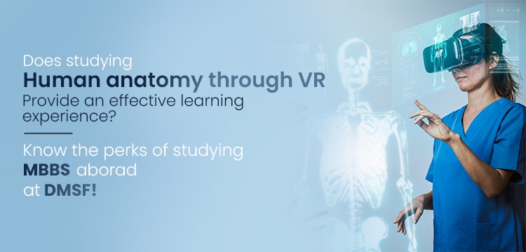 Does studying human anatomy through VR provide an effective learning experience?